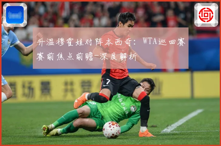 升温穆霍娃对阵本西奇：WTA巡回赛赛前焦点前瞻-深度解析