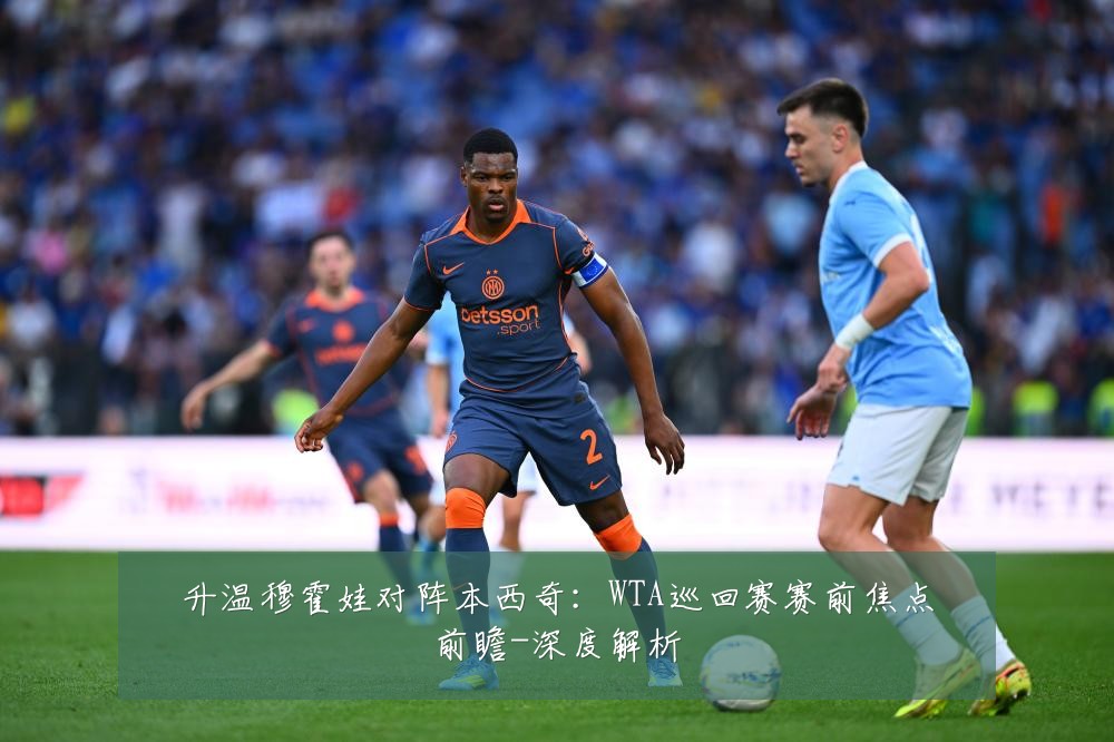 升温穆霍娃对阵本西奇:WTA巡回赛赛前焦点前瞻-深度解析